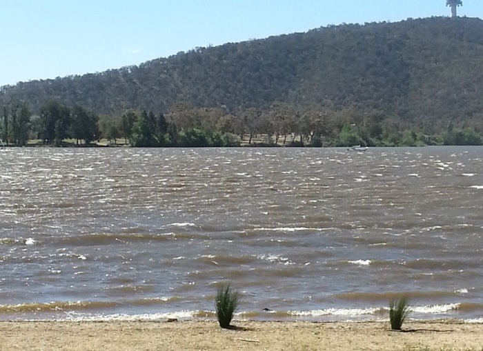 Burley Griffin pumping hard